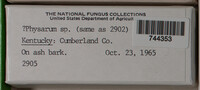 Image Associated With the Occurence